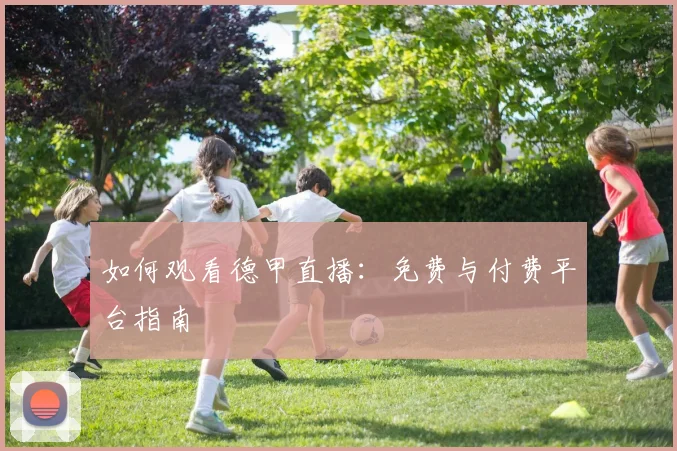如何观看德甲直播:免费与付费平台指南